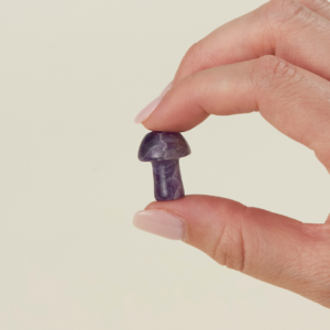 Mini Mystery Mushrooms | Shoppe Geo