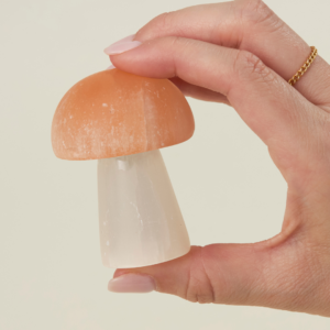 Selenite Mushroom | Shoppe Geo