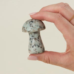 Mystery Mushroom | Shoppe Geo