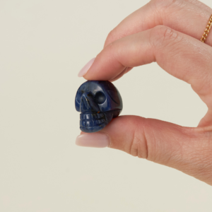 Mini Mystery Skull | Shoppe Geo