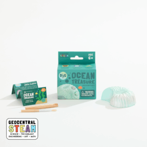 Ocean Treasure Dig Kit